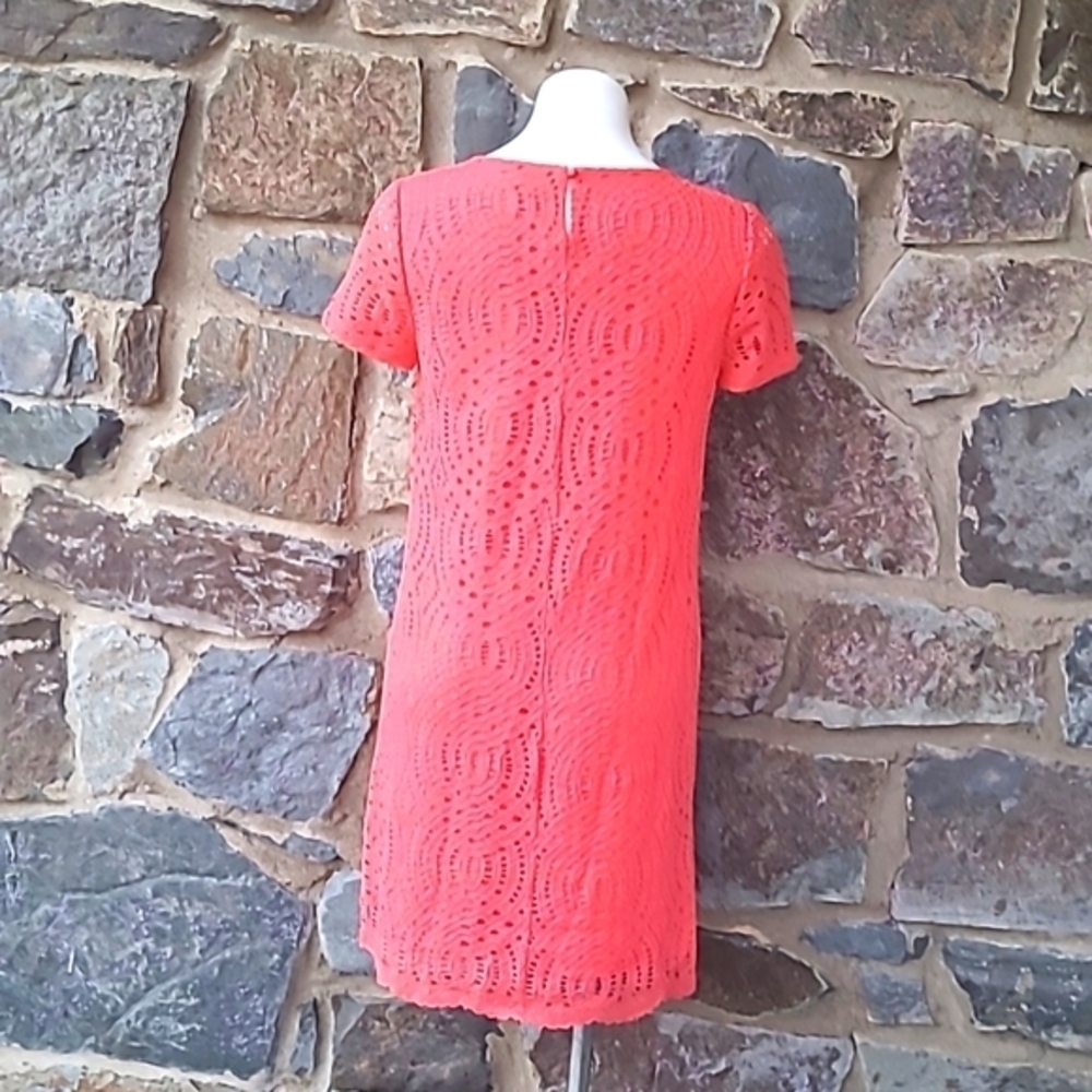 J Crew Lace with scalloped hem dress size 4 - Picture 4 of 8